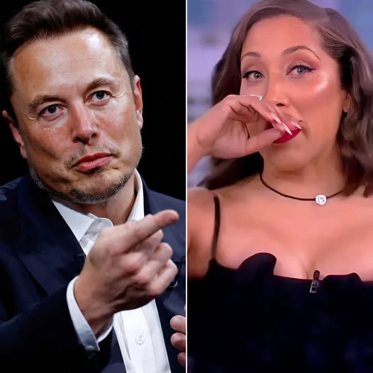 Breaking: Elon Musk Set to Acquire ABC, Vows to Cancel ‘The View’ Calling It -The Worst TV Show in History