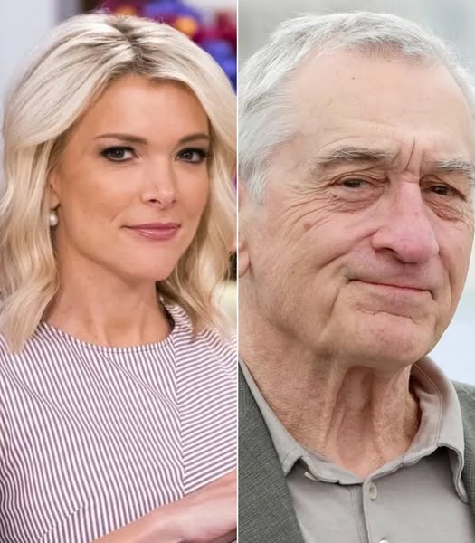 Megyn Kelly bluntly called Robert De Niro ‘Extremely stupid’ on television!